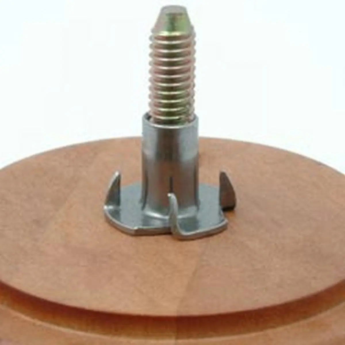 Metric (M8) T-Nuts for Sofa Legs, Set of 6 Wallace Flynn Collective