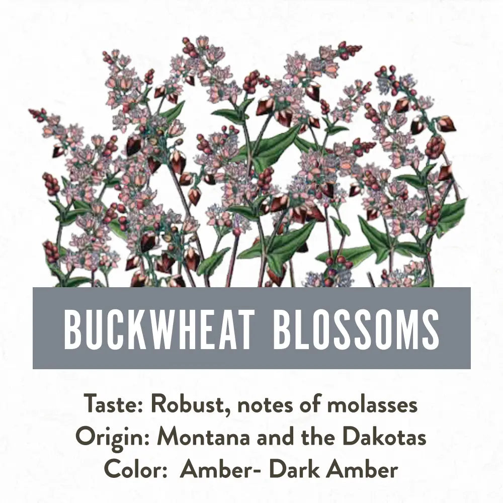 Dutch Gold 1 lb. Buckwheat Honey Dutch Gold