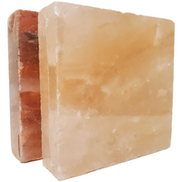 Thumbnail for Dry Age Chef® Dry Ager Himalayan Salt Blocks, Set of 2