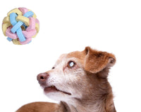 Thumbnail for SightScent Jingle Ball, Rubber Ball with Bell for Sight Impaired or Blind Pets