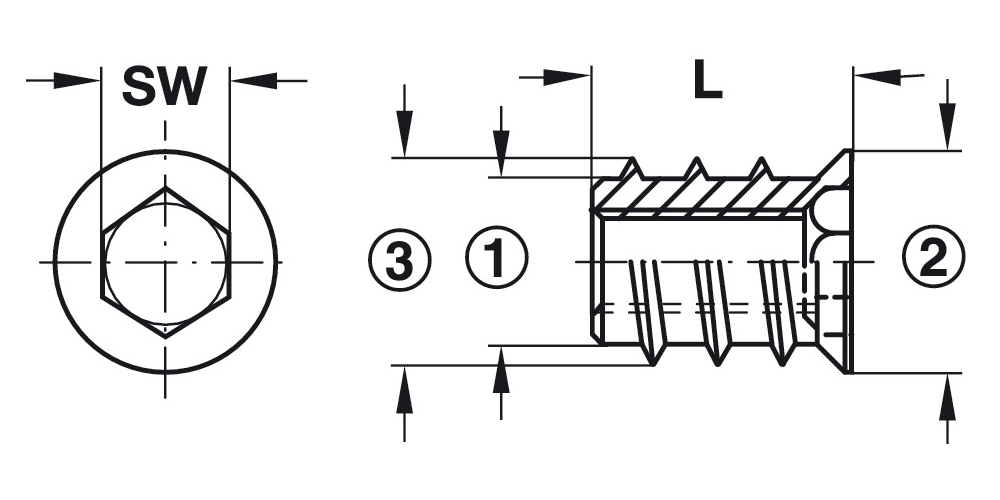 Steel Screw-In Sleeve Socket with Rim, Hex Head