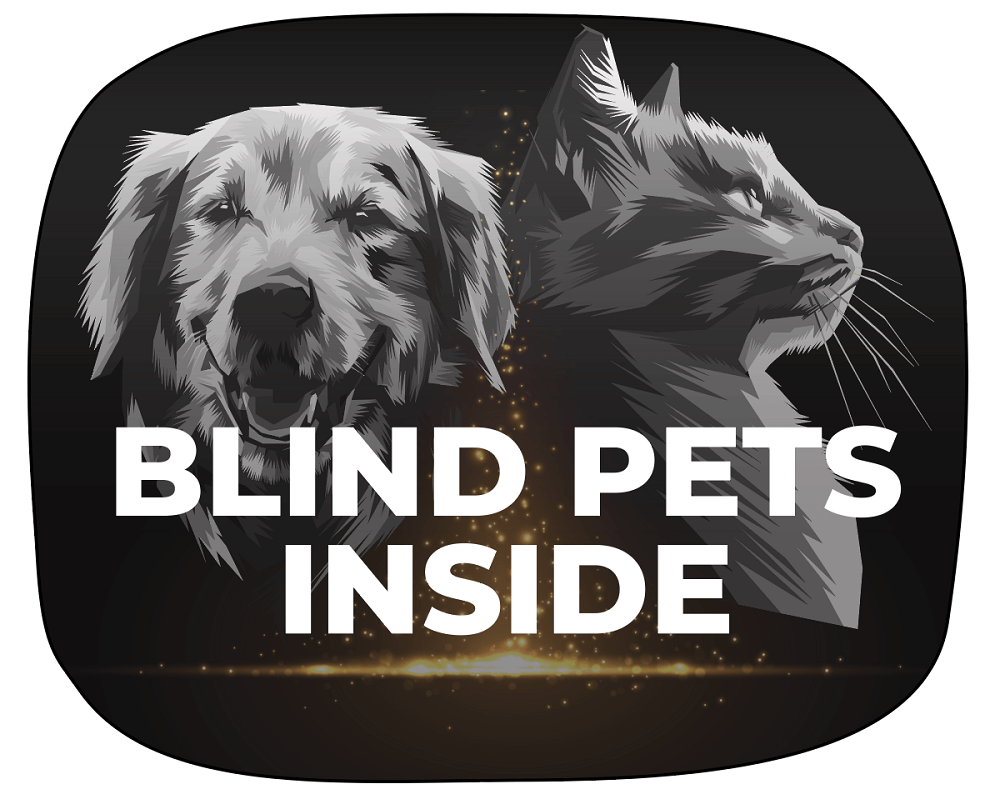 SightScent Glow in the Dark Blind Pets Inside Alert Bumper Stickers, Set of 3