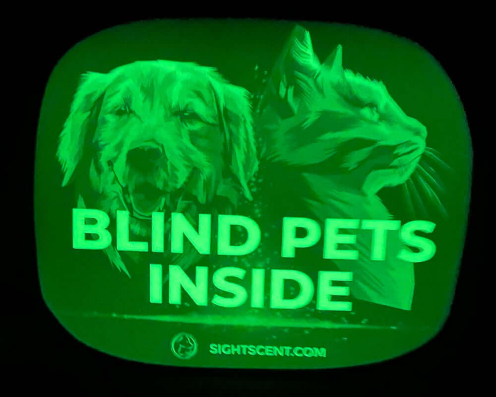 SightScent Glow in the Dark Blind Pets Inside Alert Bumper Stickers, Set of 3