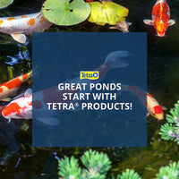 Thumbnail for TetraPond Spring and Fall Diet, Pond Fish Food for Goldfish and Koi, 3.08 lb.