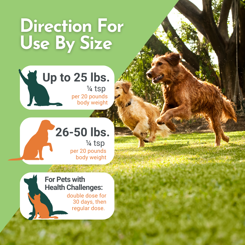 Holistic Total Body Support — Daily Multivitamin & Pasture-Raised Glandular Blend for Dogs & Cats
