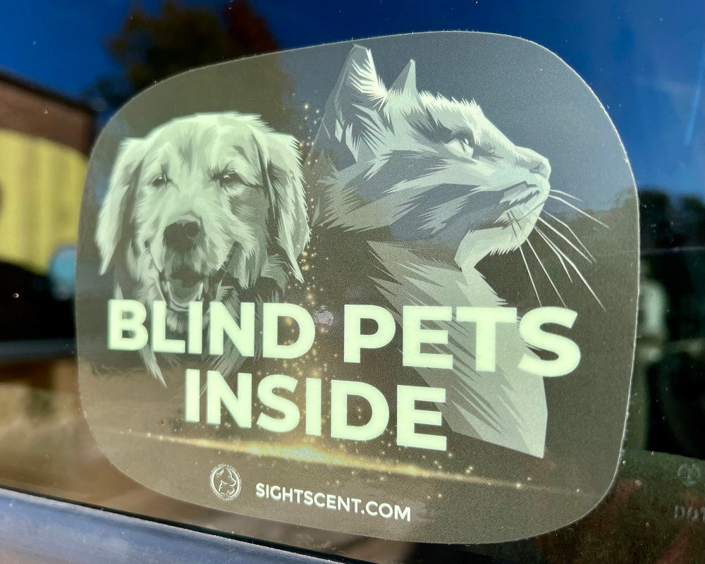 SightScent Glow in the Dark Blind Pets Inside Alert Bumper Stickers, Set of 3