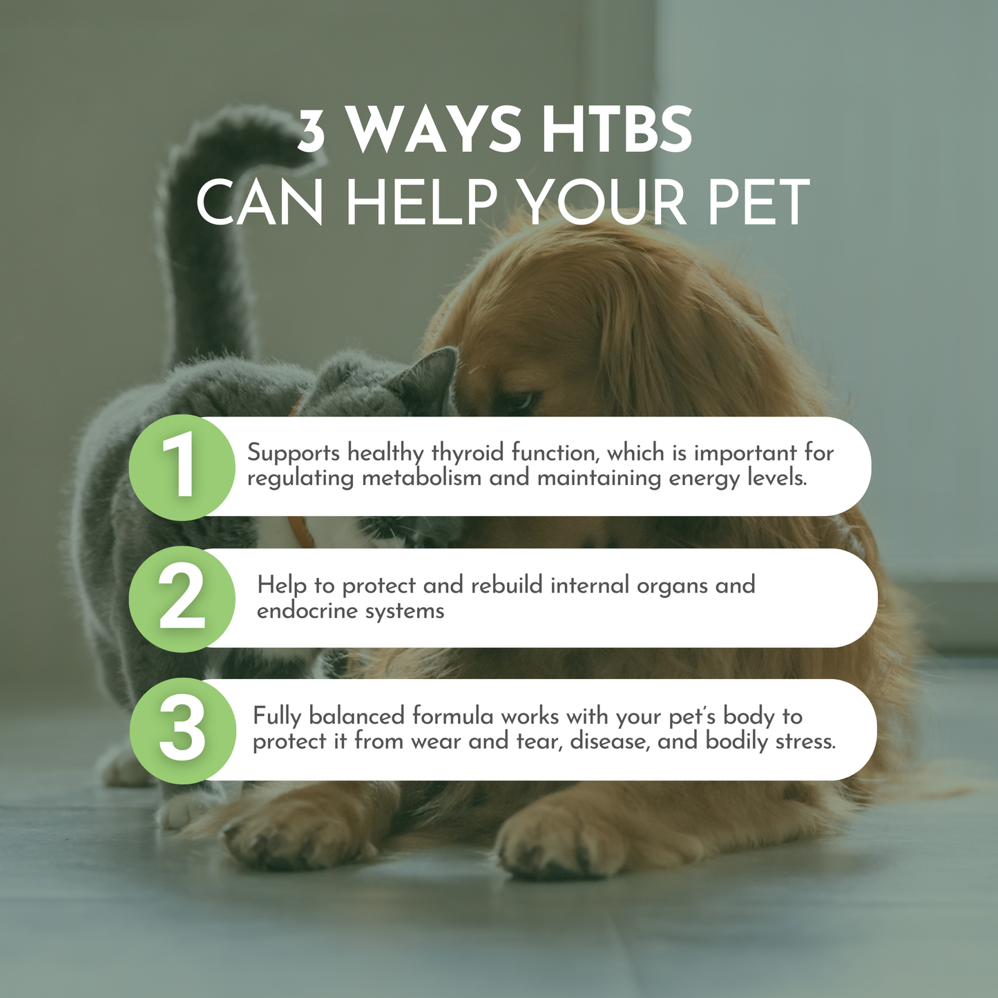 Holistic Total Body Support — Daily Multivitamin & Pasture-Raised Glandular Blend for Dogs & Cats