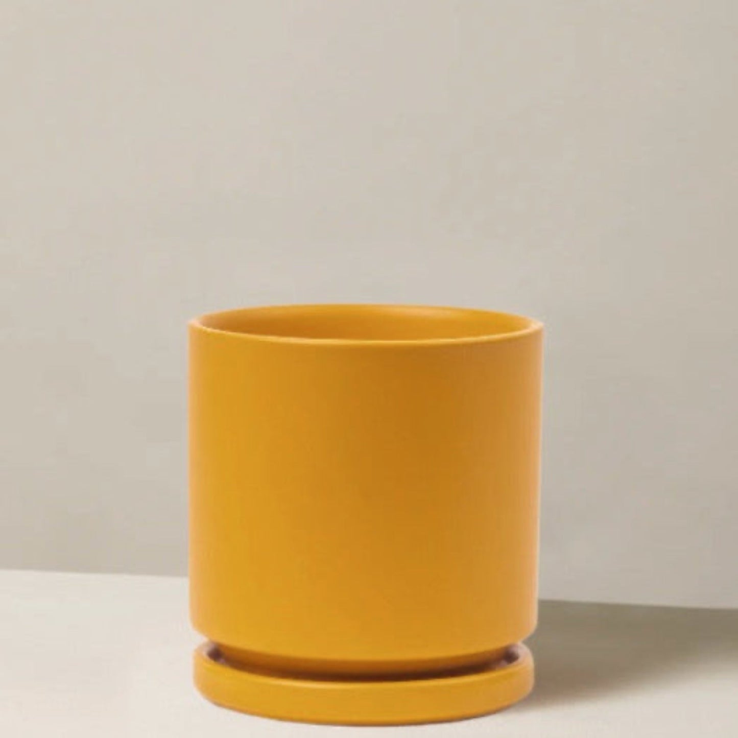 Isabella Planter
