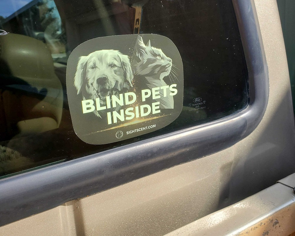 SightScent Glow in the Dark Blind Pets Inside Alert Bumper Stickers, Set of 3