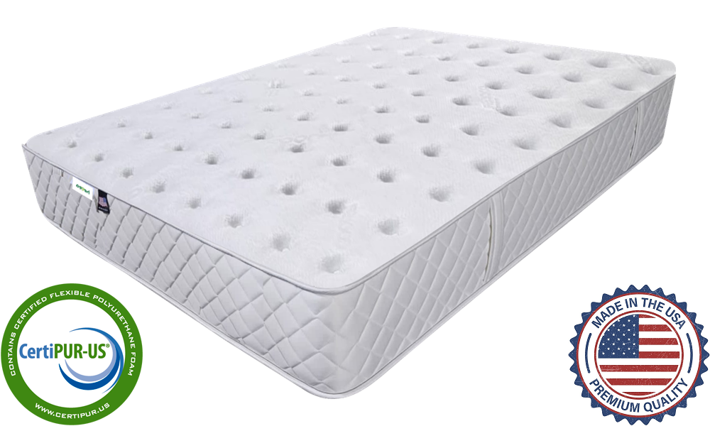 bedCLAW 11" Latex Plush Mattress