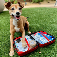 Thumbnail for Deluxe Pet First Aid Kit 60+ Emergency Items