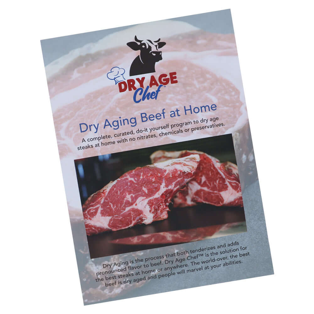Two Himalayan Salt Bricks & Dry Aging Booklet by Dry Age Chef