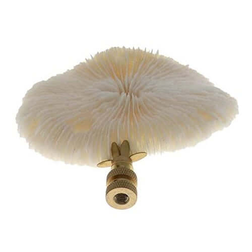 Art Finial - Mushroom Coral Shell with Brass Base, Set of 2, Mini Works of Art, Update Your Lamps!