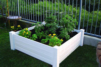 Thumbnail for Classic Raised Bed Garden