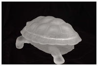 Thumbnail for Wallace Flynn Matte Crystal Handmade Turtle Jewelry Box
