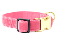 Thumbnail for Canine Envy Vintage Velvet Dog Collar ♡ Primrose Pink