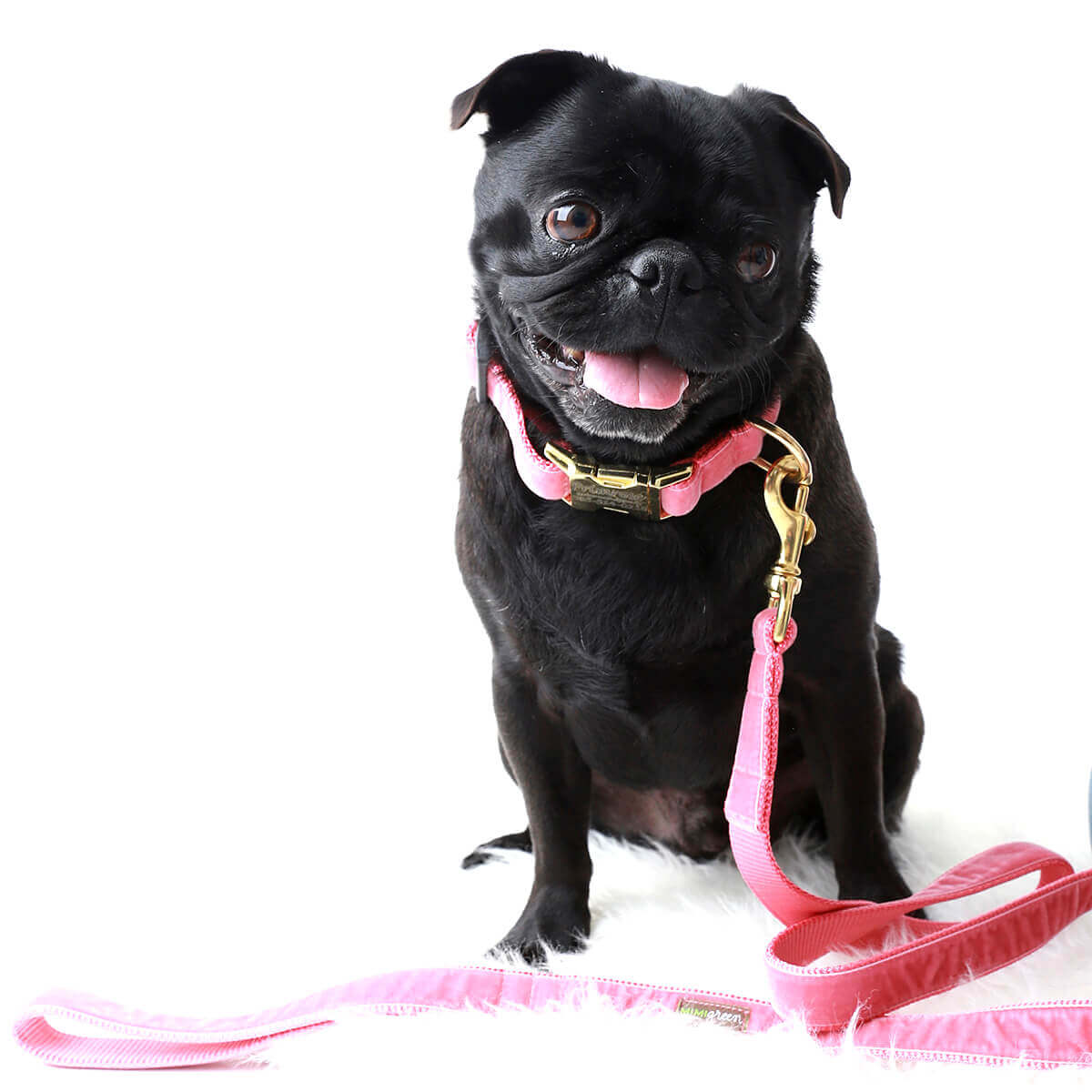 Canine Envy Vintage Velvet Dog Leashes ♡ Primrose Pink