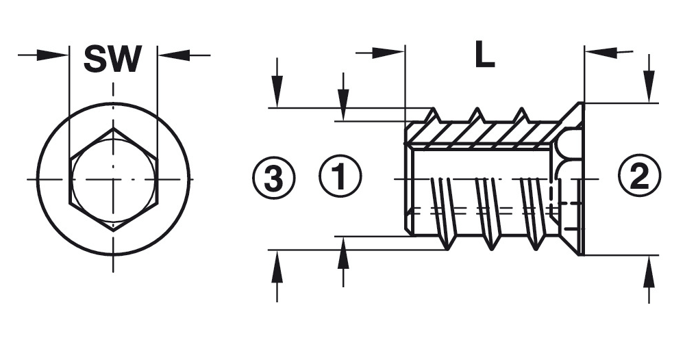 Steel Screw-In Sleeve Socket with Rim, Hex Head, M6 Thread